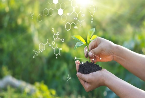 Biostimulants in Plant Science